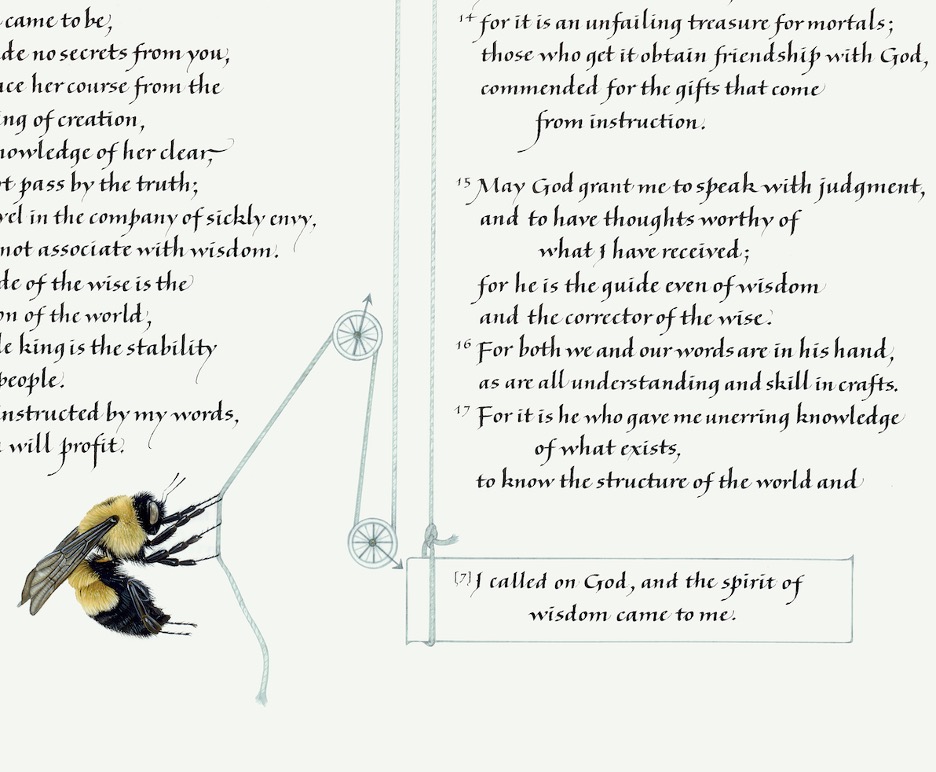 Error Treatment, Bumblebee, Sarah Harris and Chris Tomlin, © 2006 The Saint John’s Bible, Saint John’s University, Collegeville, Minnesota, USA. Scripture quotations are from the New Revised Standard Version of the Bible, Catholic Edition, Copyright 1993, 1989 National Council of the Churches of Christ in the United States of America. Used with permission. All rights reserved.